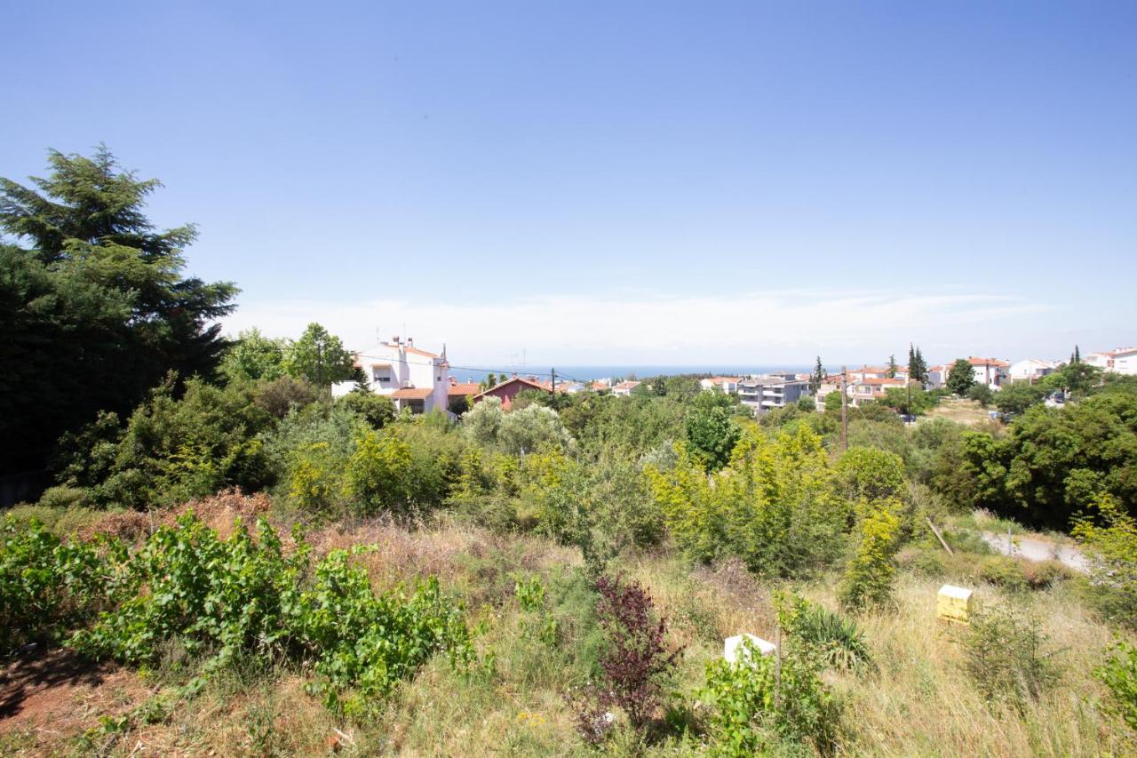 Villa Hillock: Traditional Luxury with Garden for Gatherings Thessaloniki Exterior photo